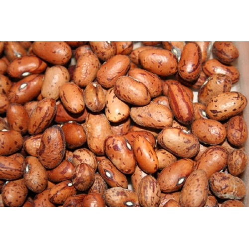 HARICOT VRAC 25KG COCO ROSE ARGENTINE